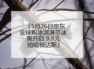 5月26日京东全球购冰淇淋节冰爽开启 9.9元抢哈根达斯