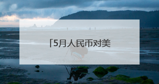 5月人民币对美元即期汇率累计升值0.93%