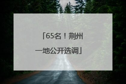 65名！荆州一地公开选调