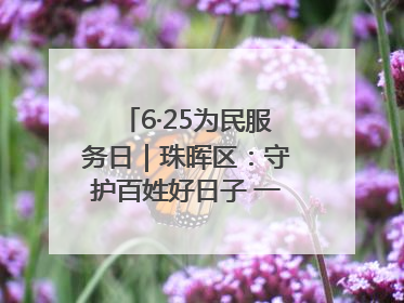6·25为民服务日｜珠晖区：守护百姓好日子 一心为民零距离