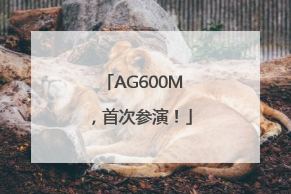 AG600M，首次参演！