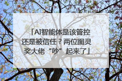 AI智能体是该管控还是被信任？两位图灵奖大佬“吵”起来了