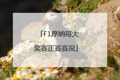 F1摩纳哥大奖赛正赛赛况