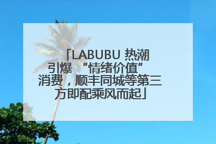 LABUBU 热潮引爆 “情绪价值” 消费，顺丰同城等第三方即配乘风而起