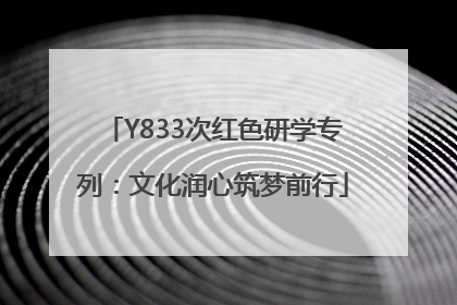 Y833次红色研学专列：文化润心筑梦前行